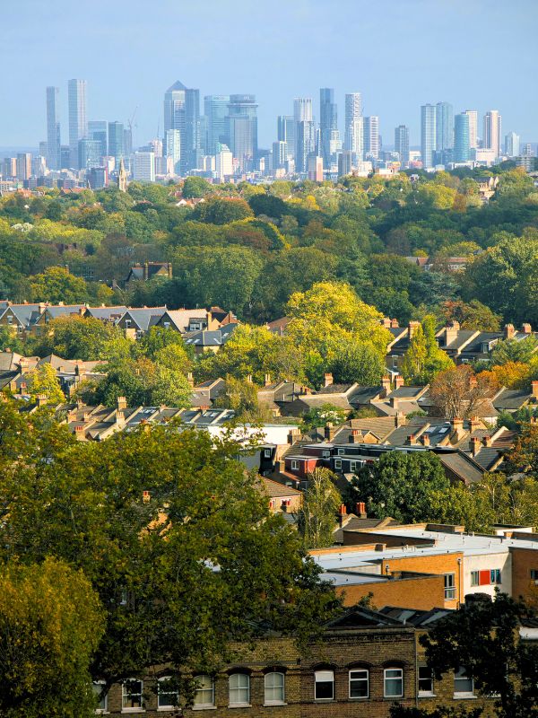City skyline with residential rooftops in the foreground